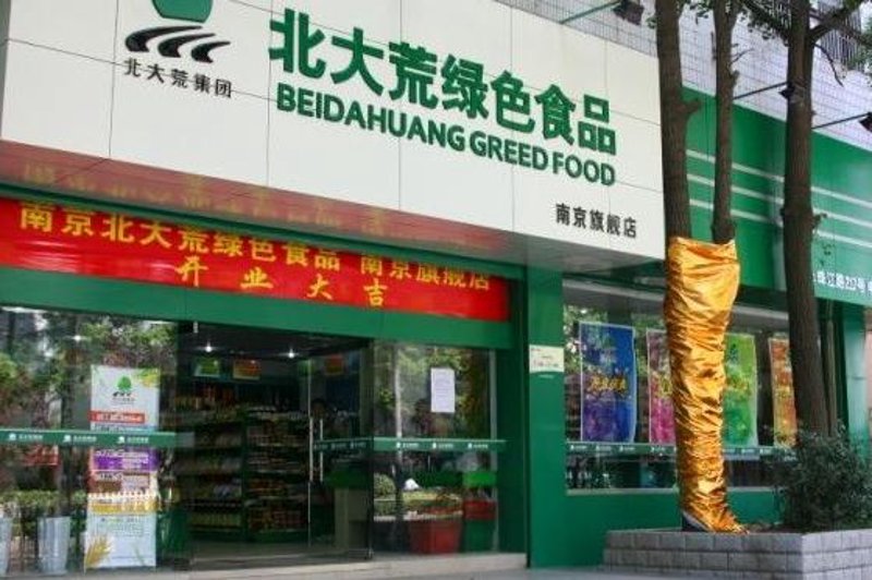 玉米种植技术要点与最新发展动态